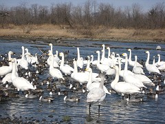 NSN �[�J�s �����򗈒n ����