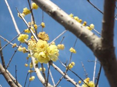 NSN �[�J�s �����򗈒n �X�~