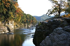 NSN ���Ғ� ���