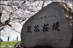 NSN �F�J�s �F�J����P