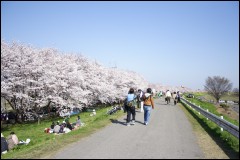 NSN �F�J�s �F�J����Q