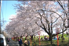 NSN �F�J�s �F�J����R