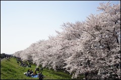 NSN �F�J�s �F�J����S