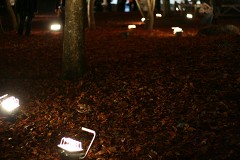 NSN ���Ғ� ���̐΍g�t���� �g�t���C�g�A�b�v