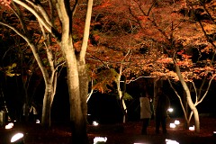 NSN ���Ғ� ���̐΍g�t���� �g�t���C�g�A�b�v