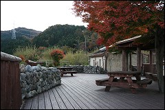 �񋏒��@�������@�W�]�f�b�L�ƃg�C��