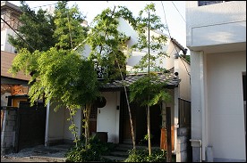 �F�J�@�𑠂͂������@�O�ςP