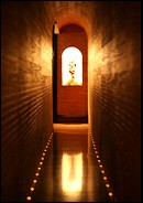 �F�J�@�𑠂͂������@�X���ʘH