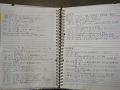 �F�J ���e�� STERLING HAIR ���q�l�J���e�P