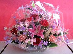 �񋏁@�ӂ��[�ۂ���Tsukui �A�����W�����g�P