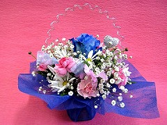 �񋏁@�ӂ��[�ۂ���Tsukui �A�����W�����g�Q