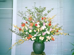 �񋏁@�ӂ��[�ۂ���Tsukui ���j�p