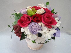 �񋏁@�ӂ��[�ۂ���Tsukui �v���U�[�u�h�t�����[�P