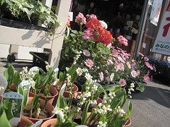 �F�� �݂Ȃ̐��ԓX�@�ԑ��ʐ^