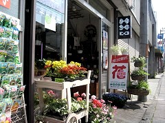 �F�� �݂Ȃ̐��ԓX�@�X�܎ʐ^