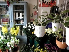 �F�� �݂Ȃ̐��ԓX�@�X�܎ʐ^