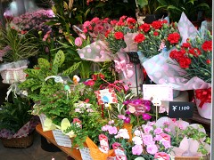 �F�� �݂Ȃ̐��ԓX�@�X�܎ʐ^