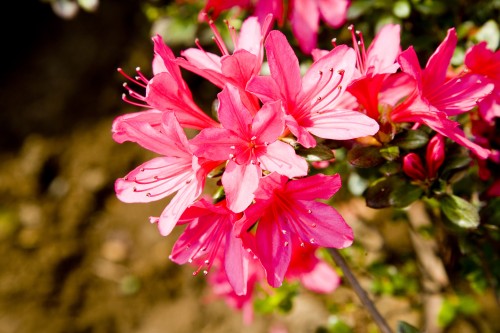 �[�J �ԐA�ؗ��ʃZ���^�[ �t�̐A�؂S