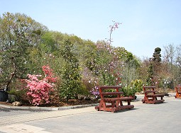 �[�J �ԐA�ؗ��ʃZ���^�[ �x���`