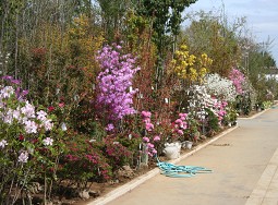 �[�J �ԐA�ؗ��ʃZ���^�[ �A�؂P