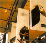 �񋏒��@�Ŕ��� �A�[�g�E�R�A �t���b�O