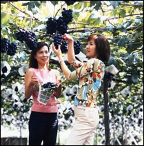 �� ���s ���ό��o�X�@�R��������