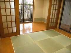 �� �n�E�W���O ����ޖ؁@�{�H��R