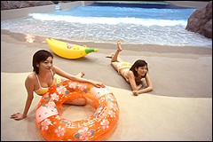 �[�J�s �����v�[�� �A�N�A�p���_�C�X�p�e�B�I �o�[�W���E�F�[�u