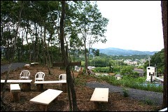 �� �O���[�v�z�[�� ������ �����炵�̗ǂ��U����