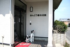 �� �����a�@ ����ǂ������a�@ ����