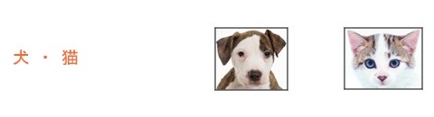 �� �����a�@ ����ǂ������a�@ �Ώۓ���