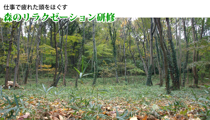 �X�̃����N�[�[�V�������C�@NPO�@�l�X�ъ��p������҂�