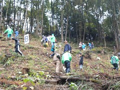 �r��O���[���O�����@�����ʐ^