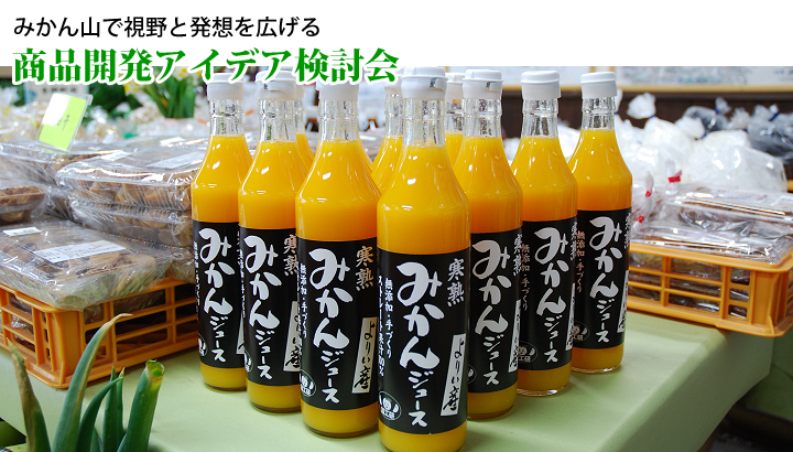 ���i�J���A�C�f�A������@�񋏒��_�Y�����H������