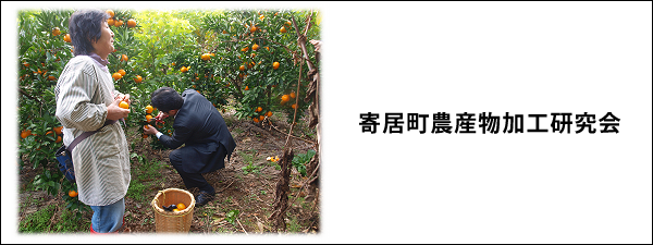 �񋏒��_�Y�����H������@TOP�摜